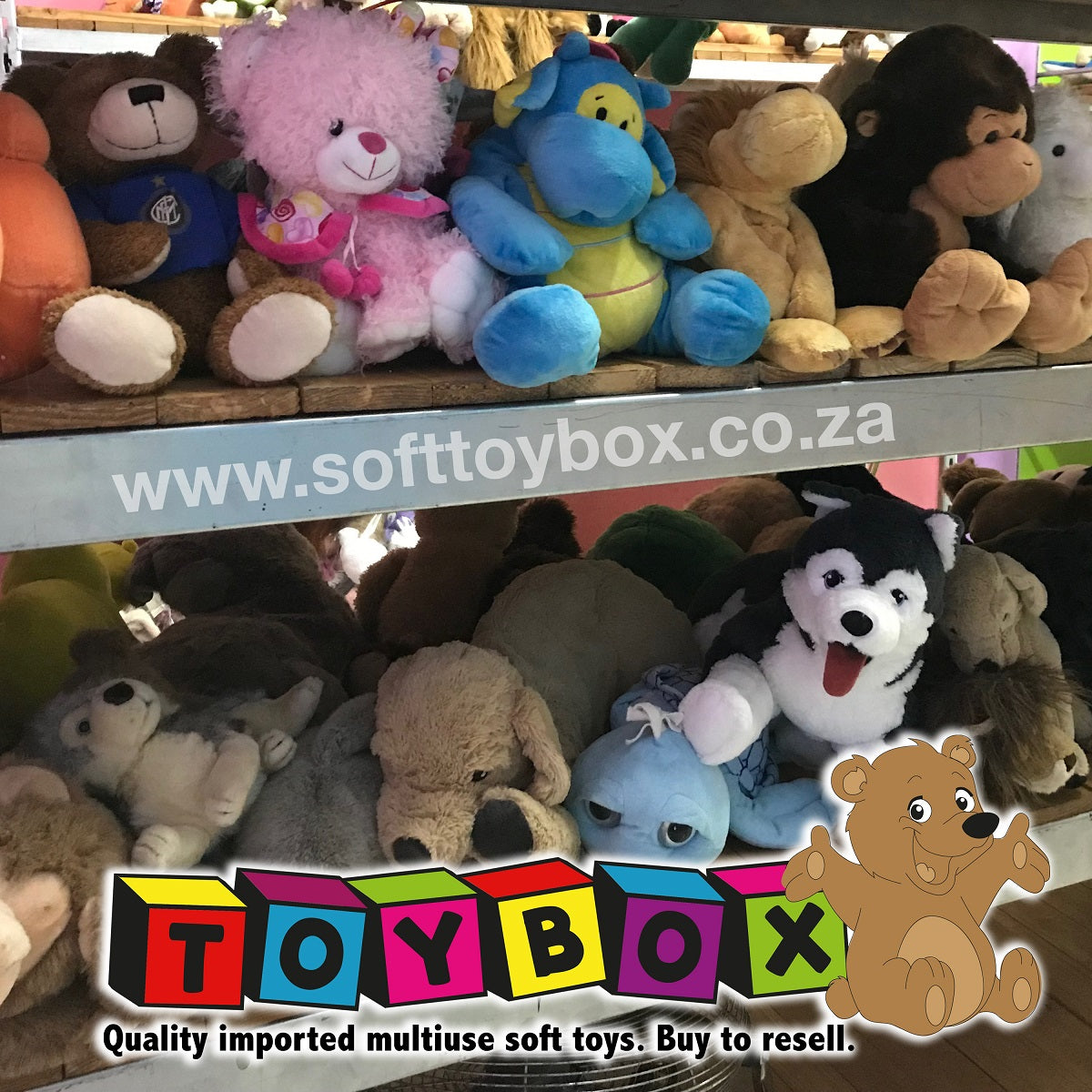 The Toybox supplier of high quality imported soft toys Toy Box SA